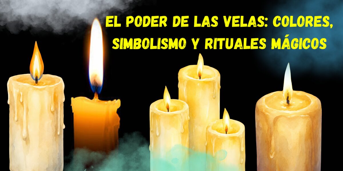 Banner_web_comida_de_perros_negro__2_.jpg